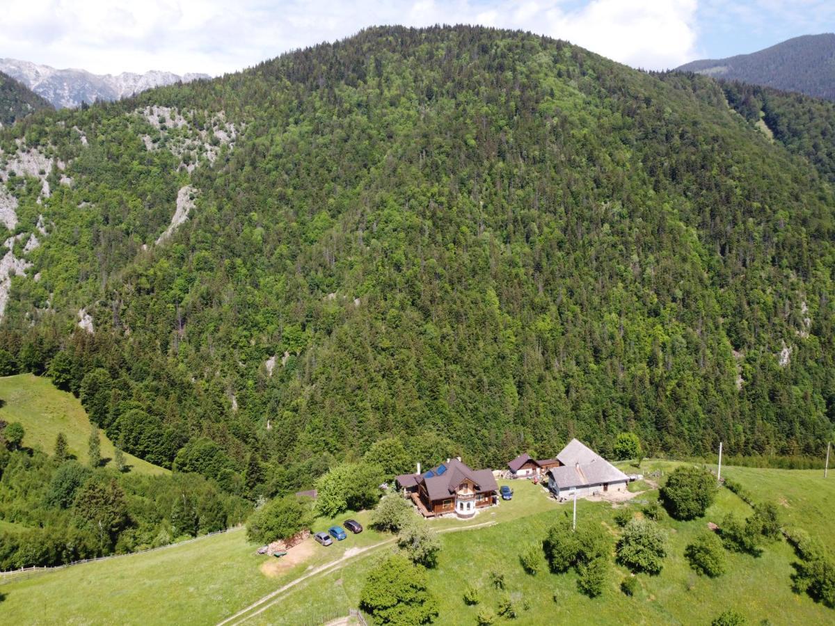 Villa Casa Muchia Lui Girnita Brașov Exterior foto