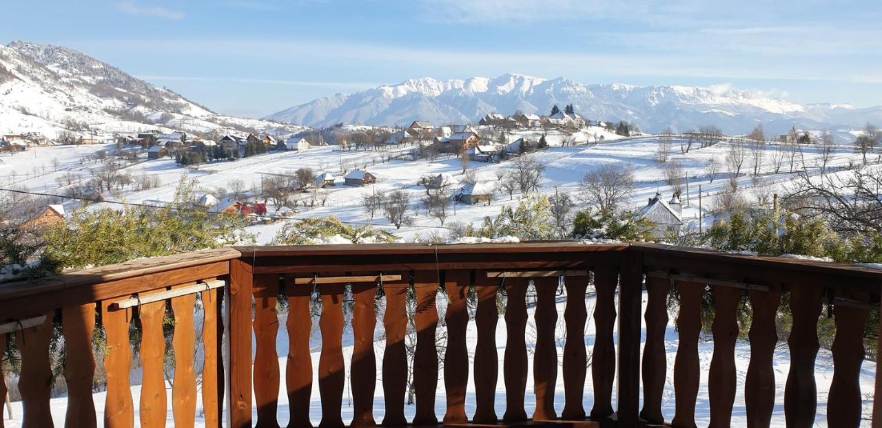 Villa Casa Muchia Lui Girnita Brașov Exterior foto
