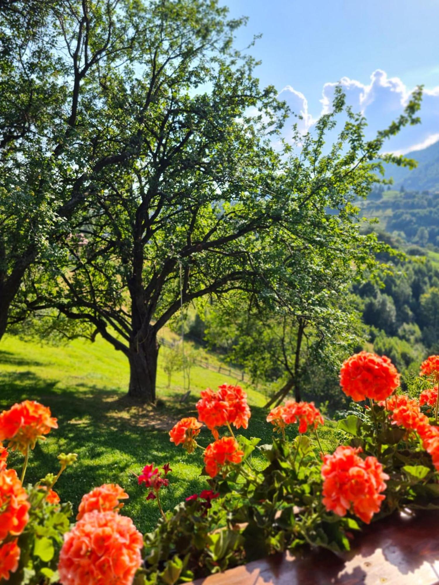 Villa Casa Muchia Lui Girnita Brașov Zimmer foto